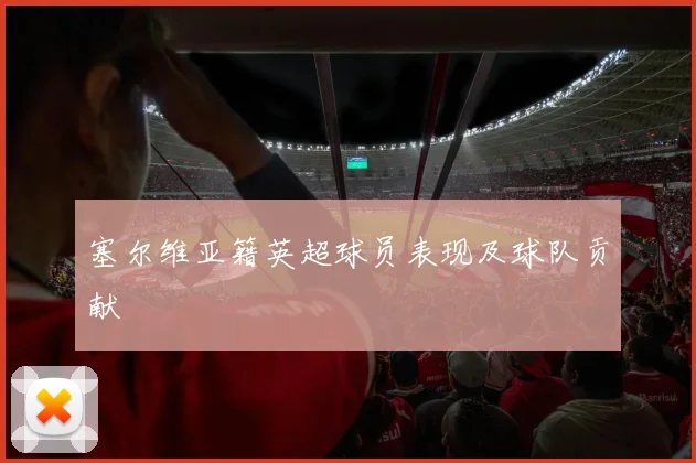 塞尔维亚籍英超球员表现及球队贡献