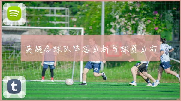 英超各球队阵容分析与球员分布