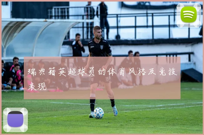 瑞典籍英超球员的体育风格及竞技表现