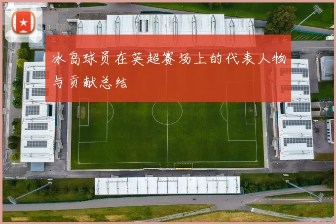 冰岛球员在英超赛场上的代表人物与贡献总结