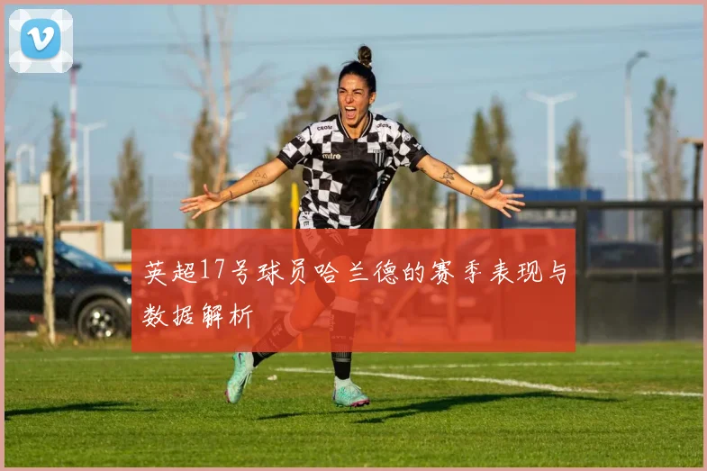 英超17号球员哈兰德的赛季表现与数据解析